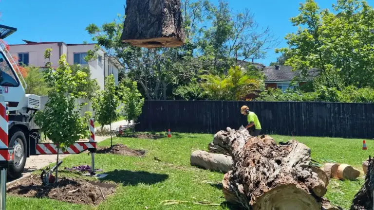 Cost of Tree Service in Brick, NJ