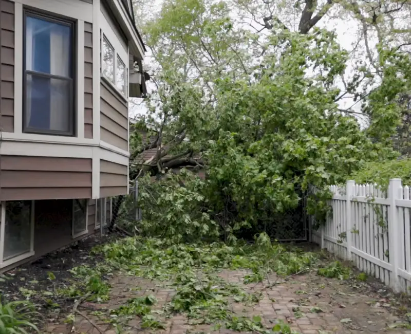 Storm damage cleanup Brick NJ